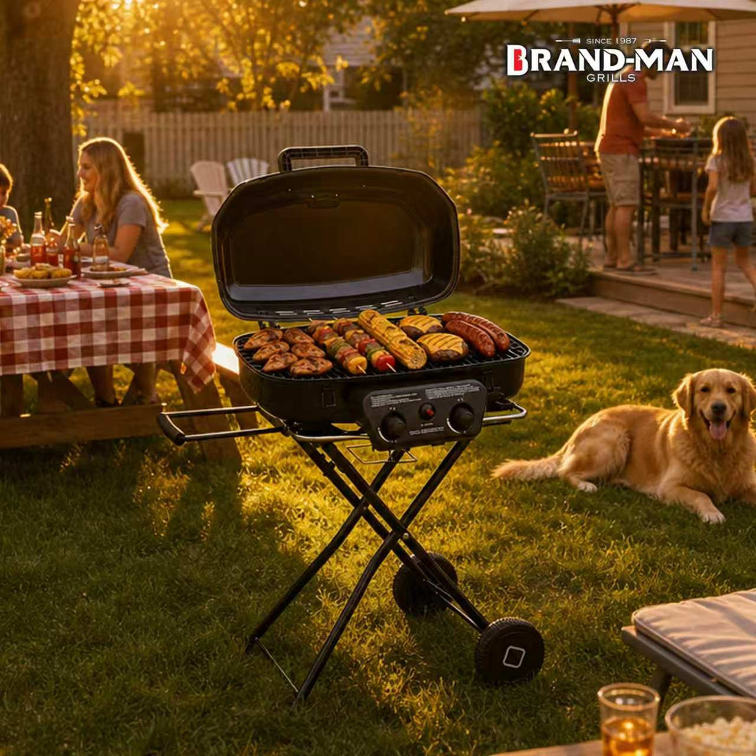 Brandman Dual-Burner Portable Propane Grill | Top Gear For 2026 World Cup US Tailgates & Family Outdoor Trips