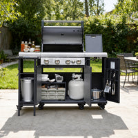 Brandman 4-Burner LPG/NG Convertible Stainless Steel Gas BBQ Grill with Storage Cabinet