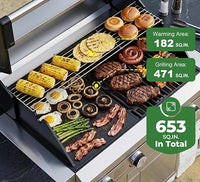 Rustler 4B Built-in Gas Grill