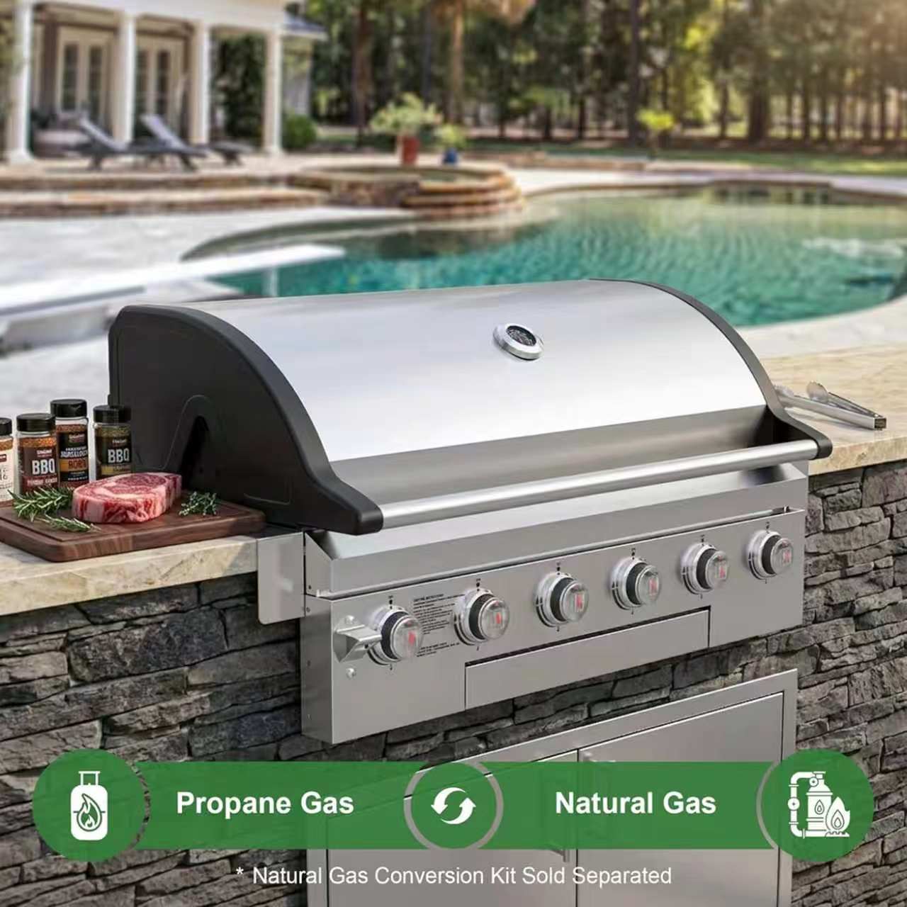 Rustler 6B Built-in Gas Grill