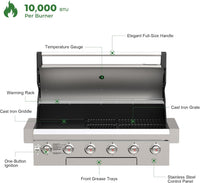 Rustler 6B Built-in Gas Grill