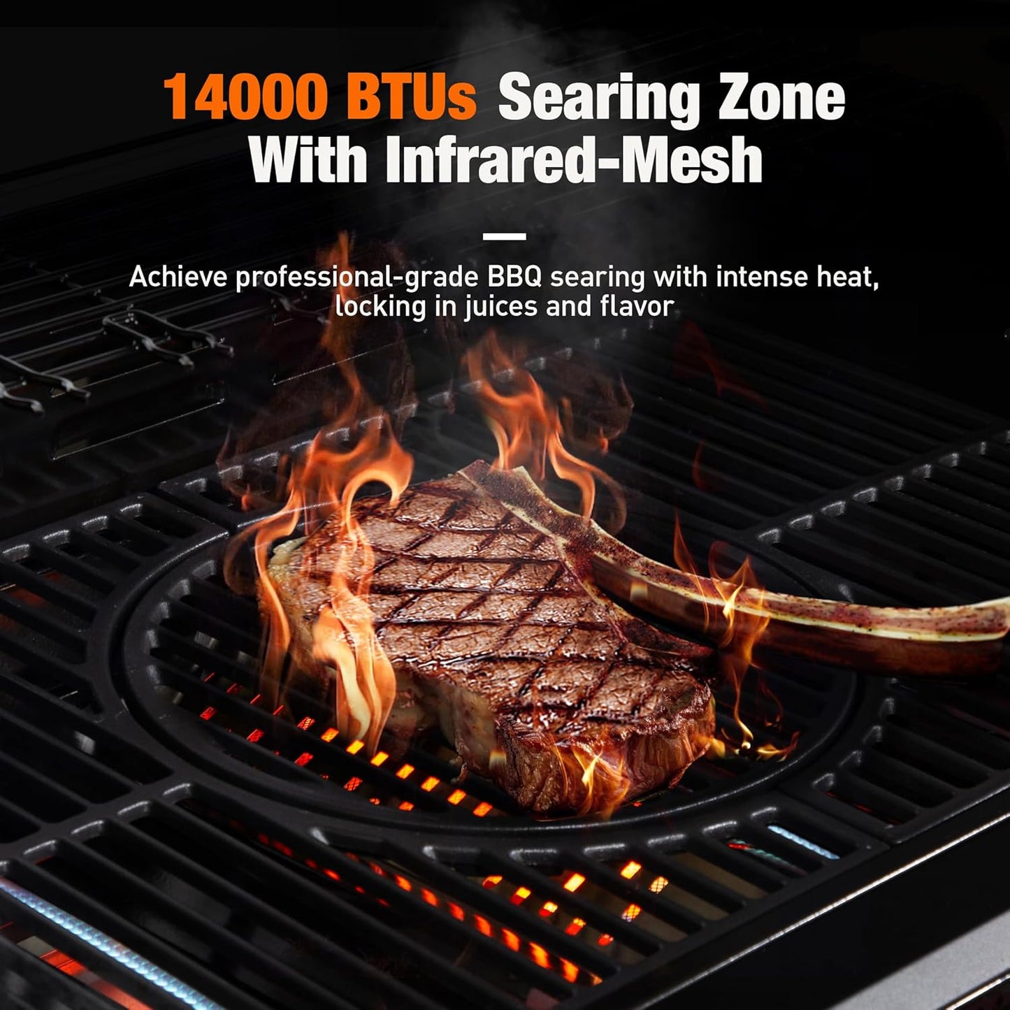 5-Burner Infrared Gas Grill 60000 BTU Propane/Natural Gas Outdoor BBQ