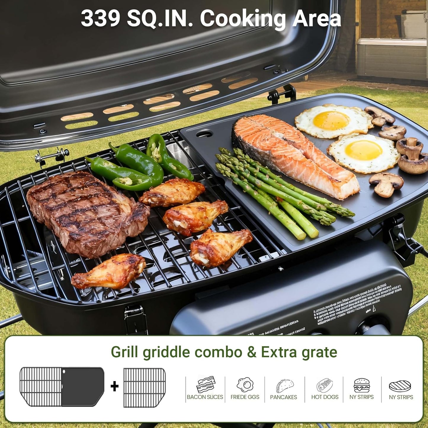 2-Burner Portable Propane Gas Grill-Green