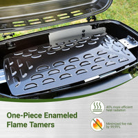 2-Burner Portable Propane Gas Grill-Green