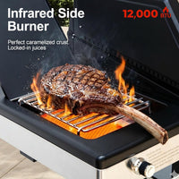 Outdoor 6-Burner Propane BBQ Grill with Side Burner & Griddle