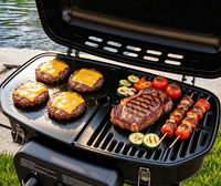Brandman 2-Burner Portable Propane Gas Grill, 2-in-1 Griddle & Grill for Outdoor Camping, Black
