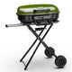 2-Burner Portable Propane Gas Grill-Green